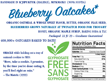 Nova Scotia Blueberry Oatcakes
